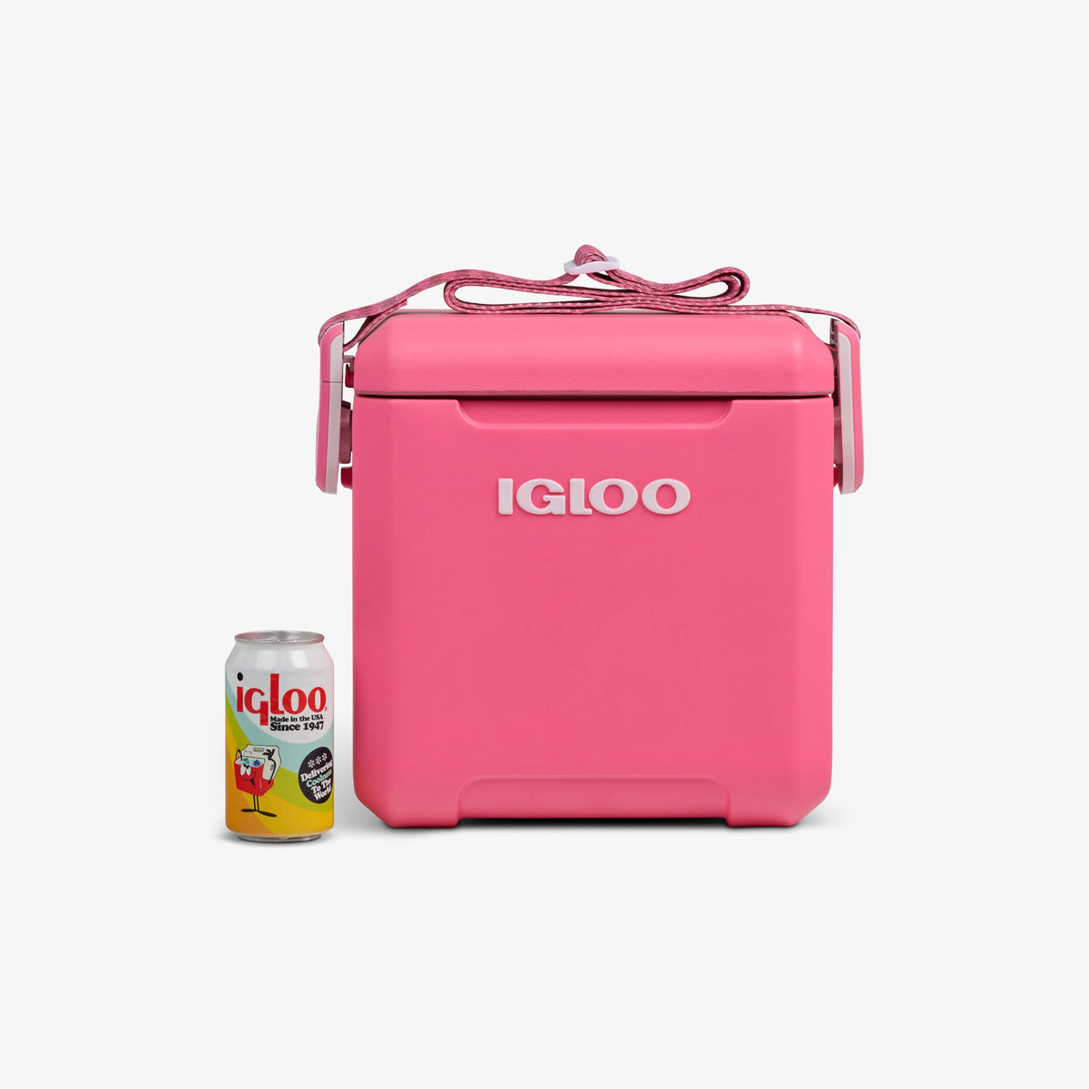 tag-along-too-remix-cooler-i5 00033199-P_861a5cd2-f15c-4217-a471-e33cc3890d9e.jpg
