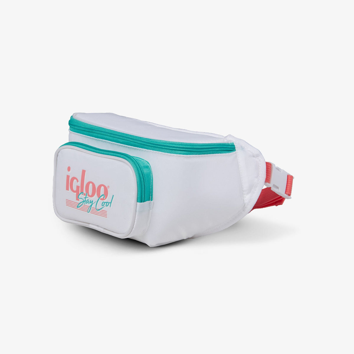 retro-fanny-pack-d4 00060951_2.jpg