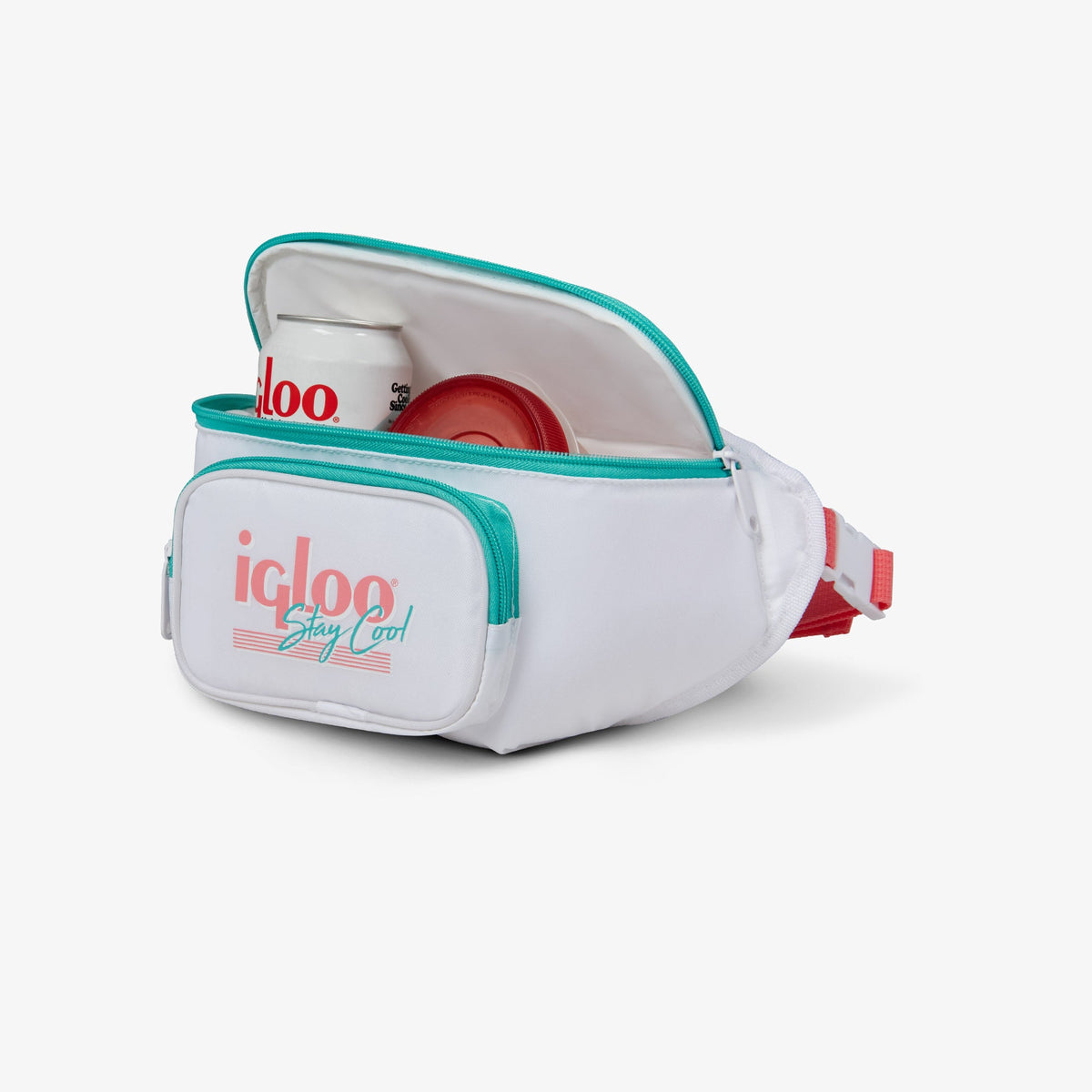 retro-fanny-pack-d4 00060951_3.jpg