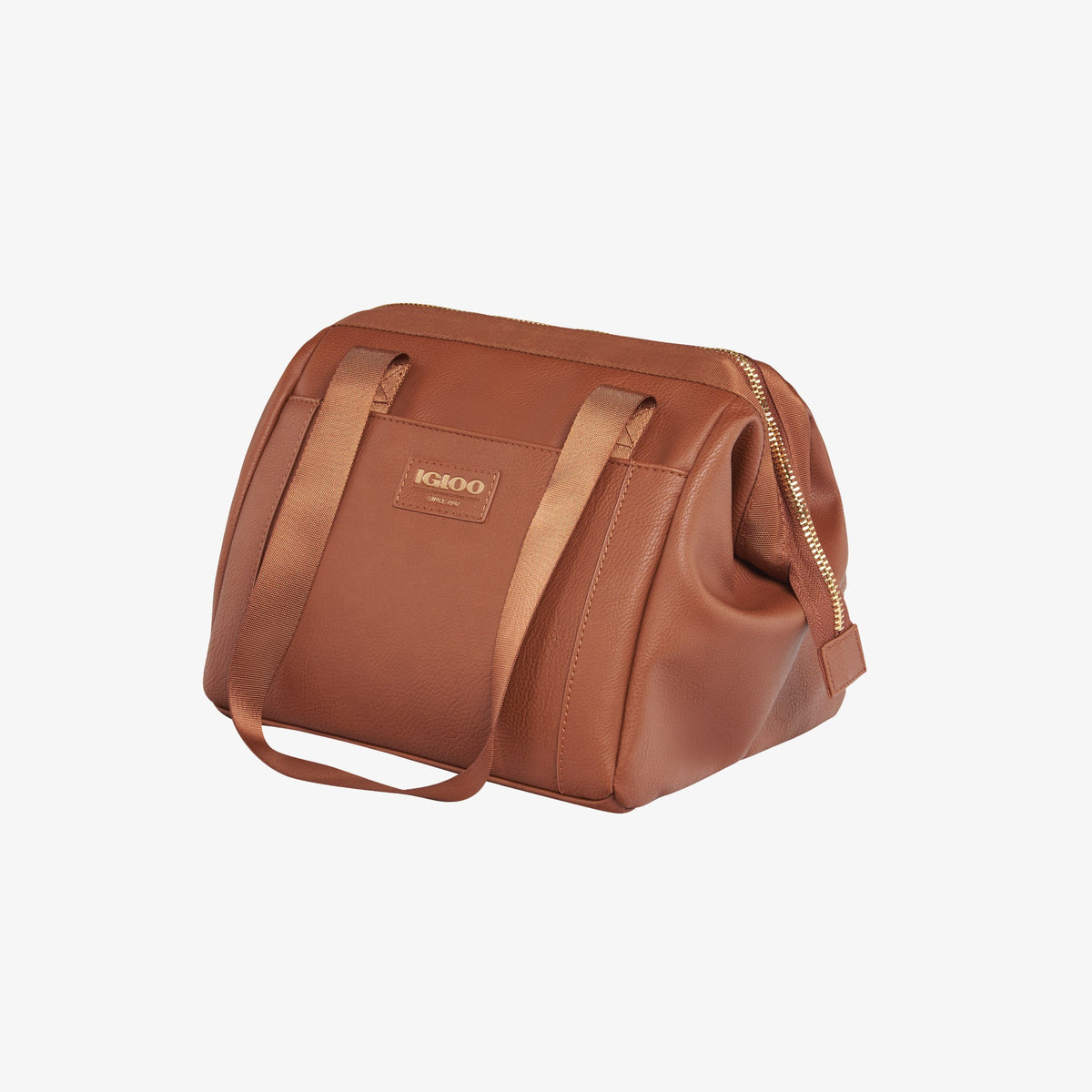 igloo-luxe-lunch-tote-cooler-bag-a4 00061160_2.jpg