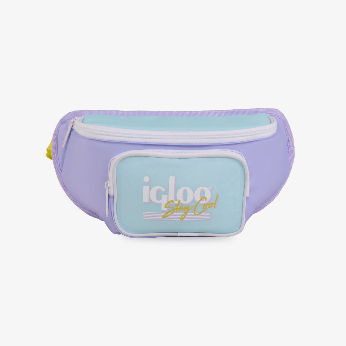 retro-fanny-pack-d4 00063078-F.jpg