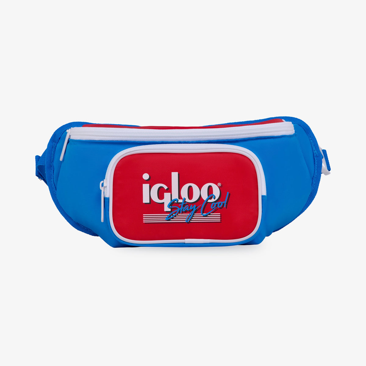 retro-fanny-pack-d4 00063079-F.jpg