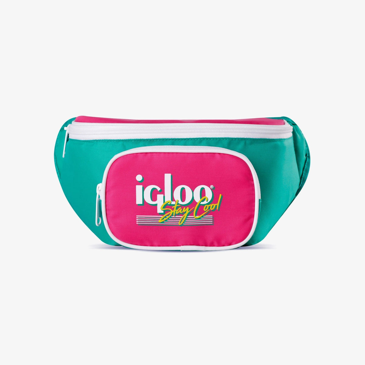 retro-fanny-pack-d4 00065477_front_b0559ebd-4f12-490c-9437-343e59989fde.jpg