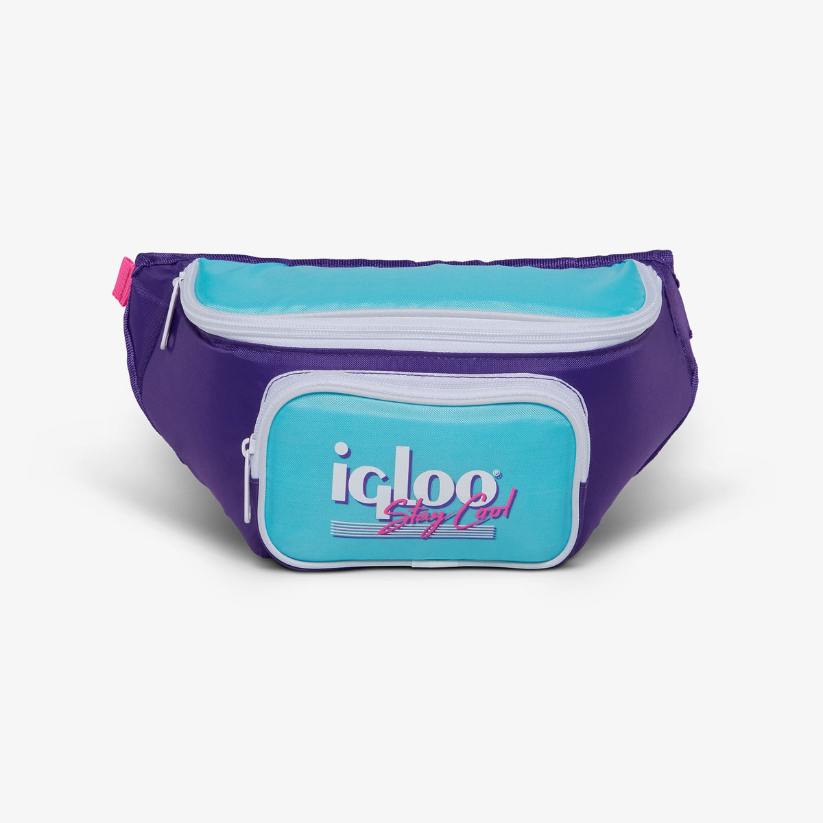 retro-fanny-pack-d4 00066056-F.jpg