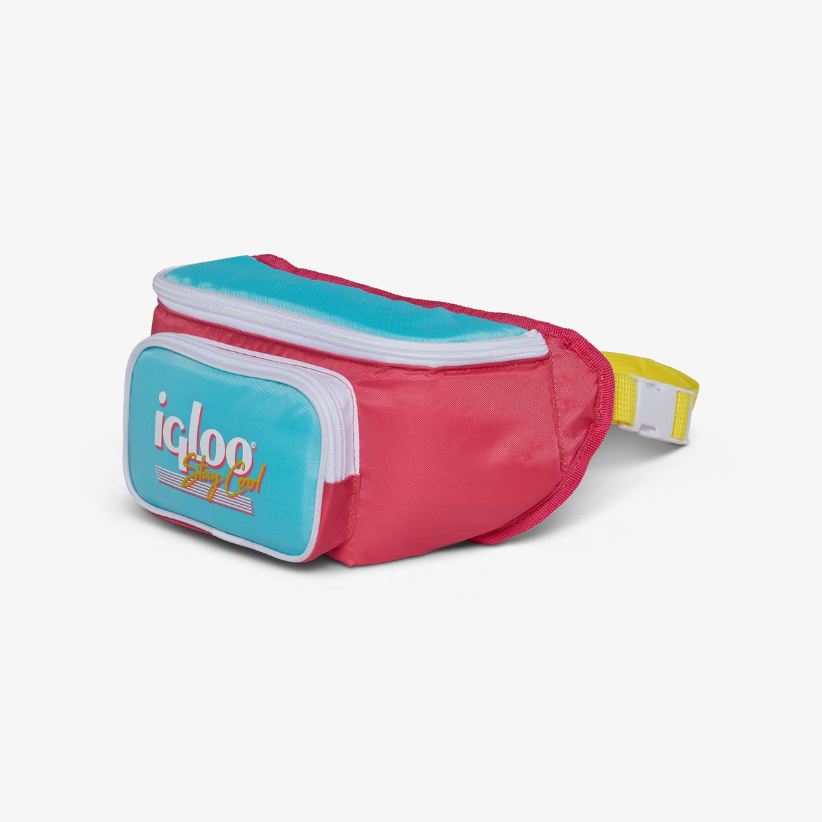 retro-fanny-pack-d4 00066058-H1.jpg