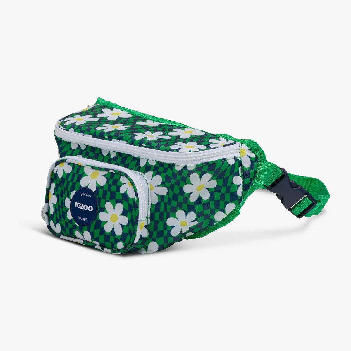 retro-fanny-pack-d4 00067206-H1.jpg