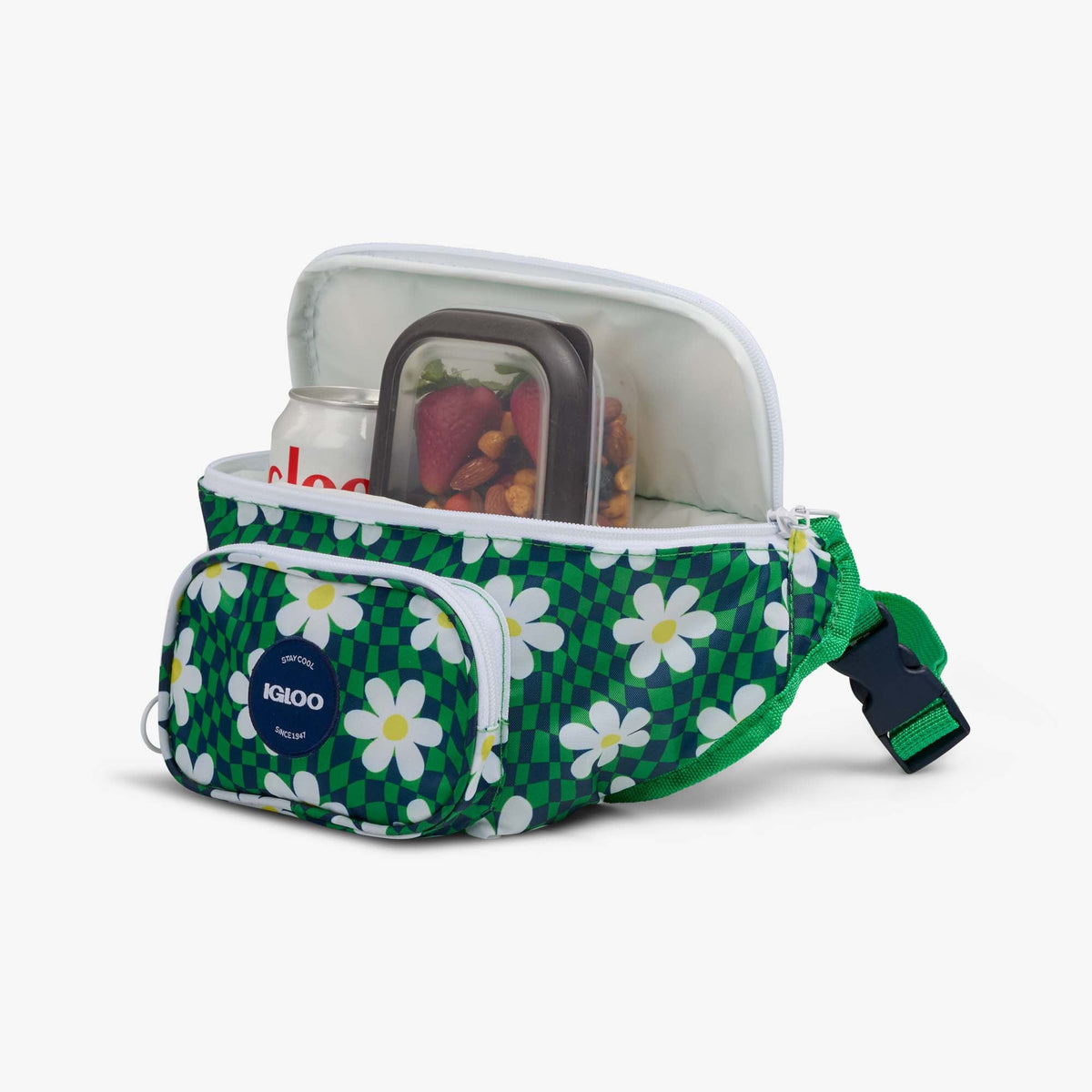 retro-fanny-pack-d4 00067206-P1.jpg